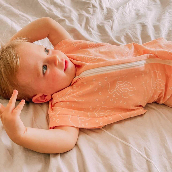 Baby sleep sack with sleeves sale