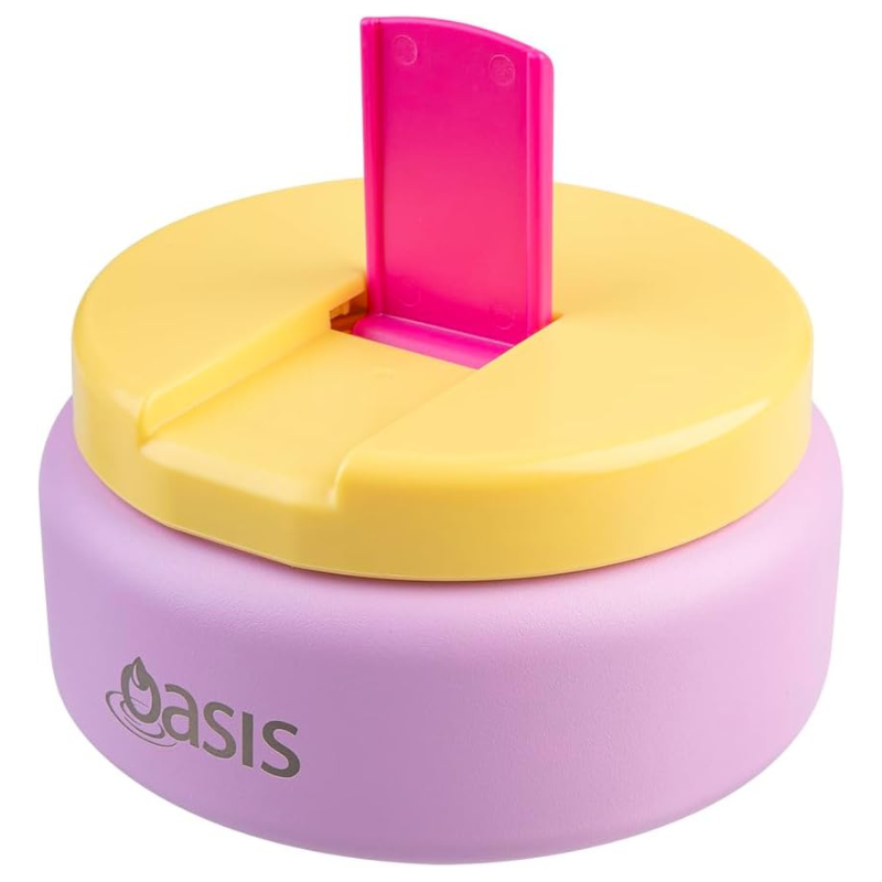 Oasis Food Flask with Quick Release Lid - 230ml