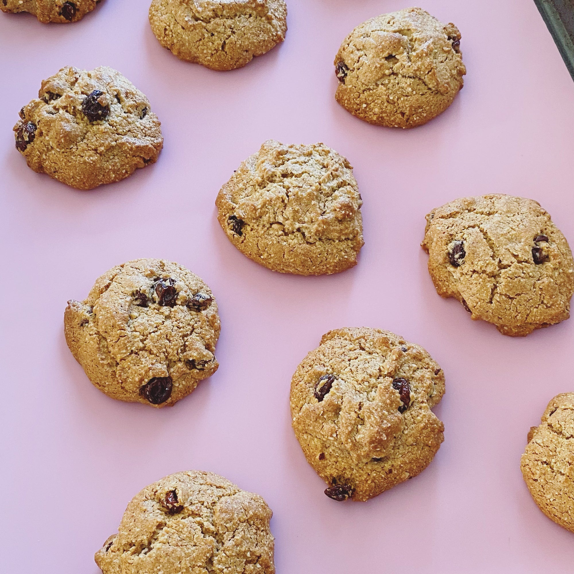 Grain-Free Raisin Cookies