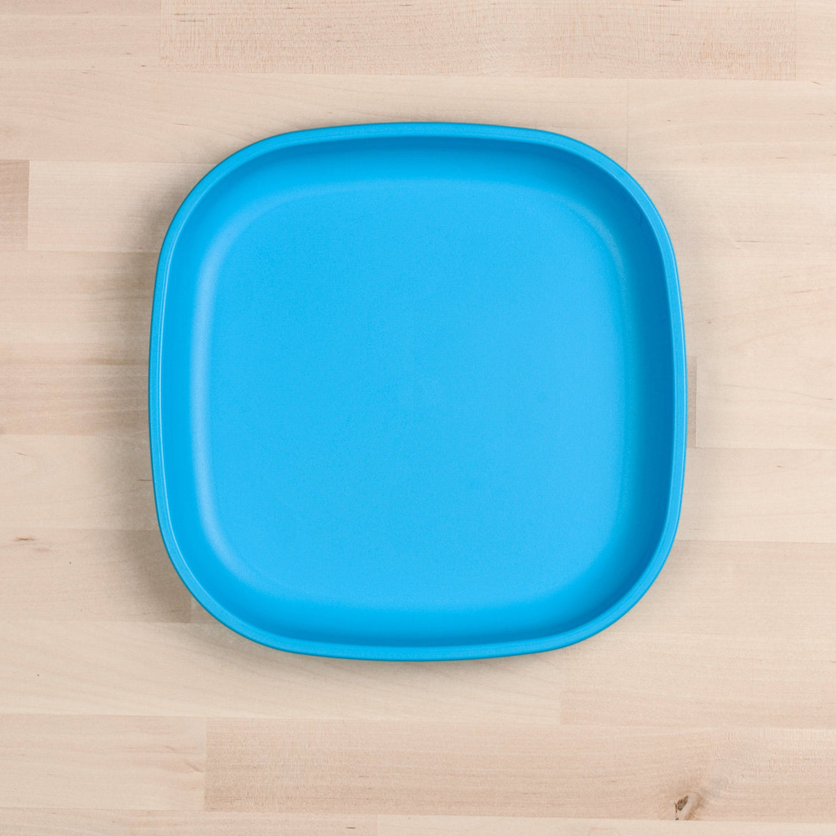 10inch-Flat-Plate--001_52108_sky_blue.jpg