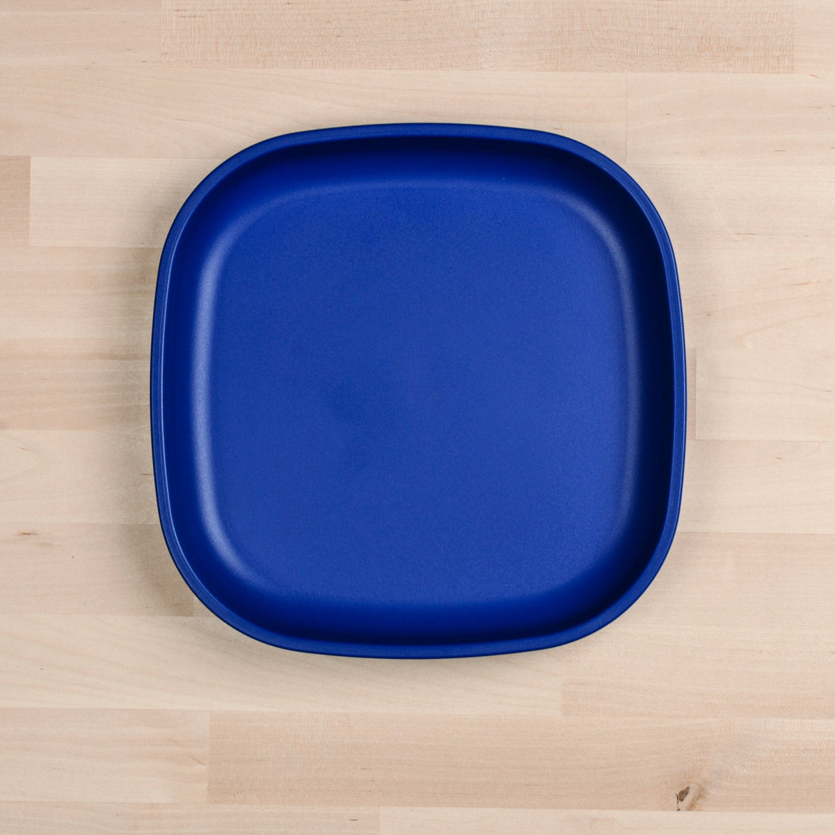 10inch-Flat-Plate--002_52112_navy_blue.jpg