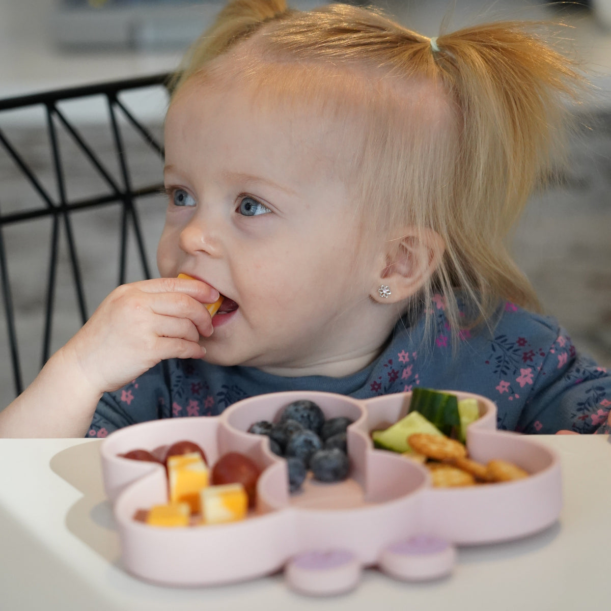 Melii Silicone Divided Suction Plate