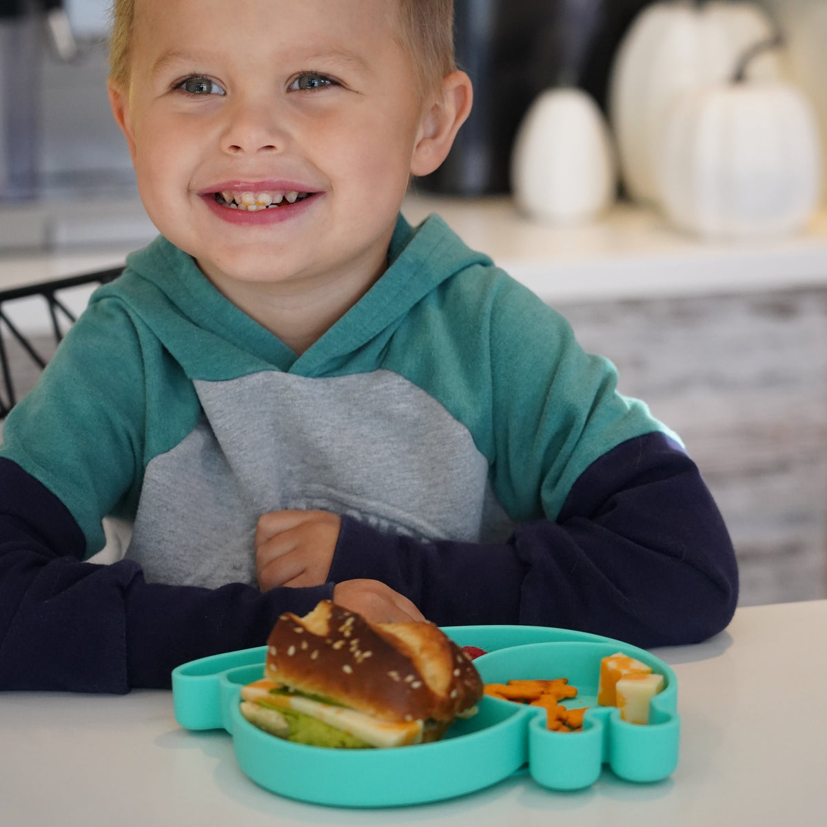 Melii Silicone Divided Suction Plate