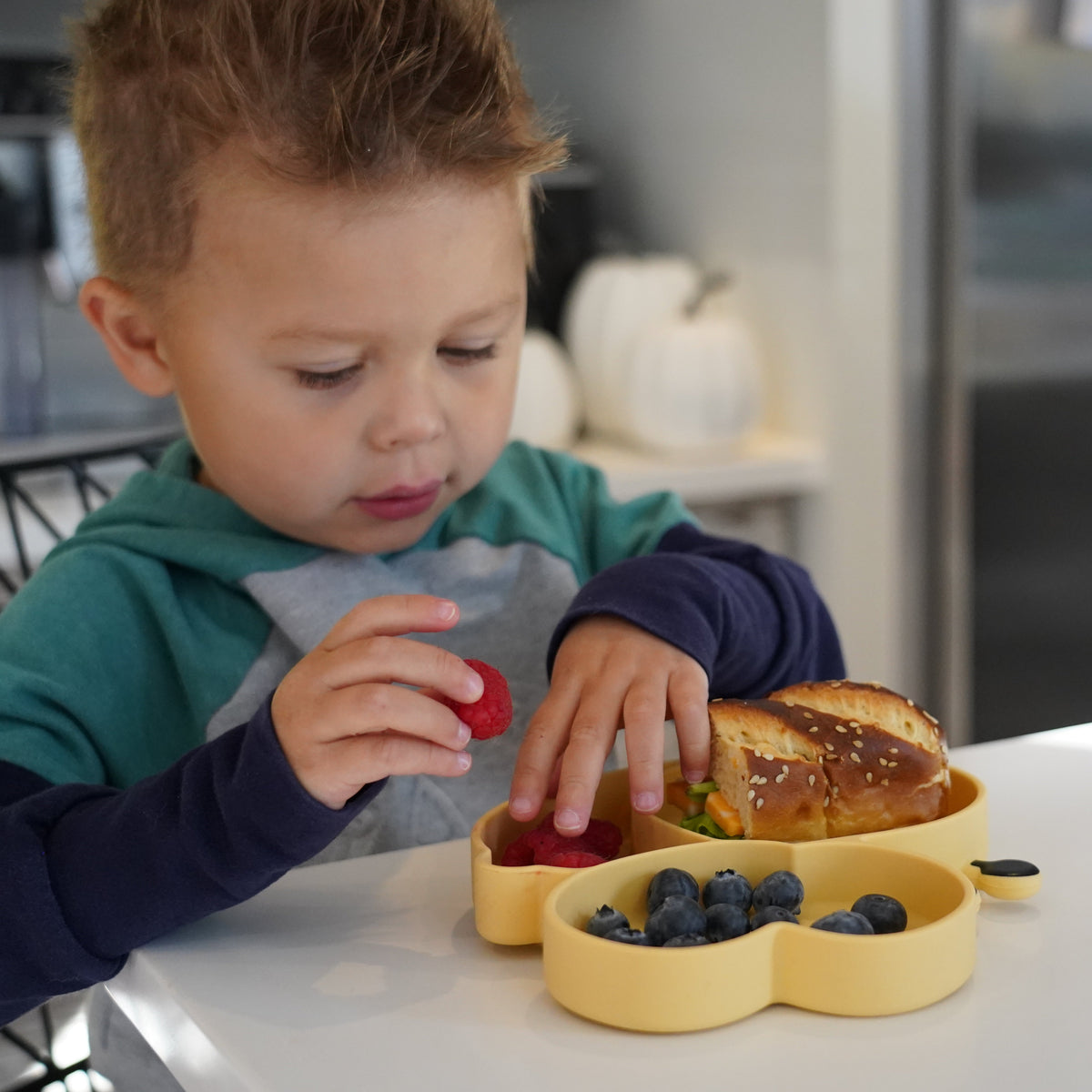 Melii Silicone Divided Suction Plate
