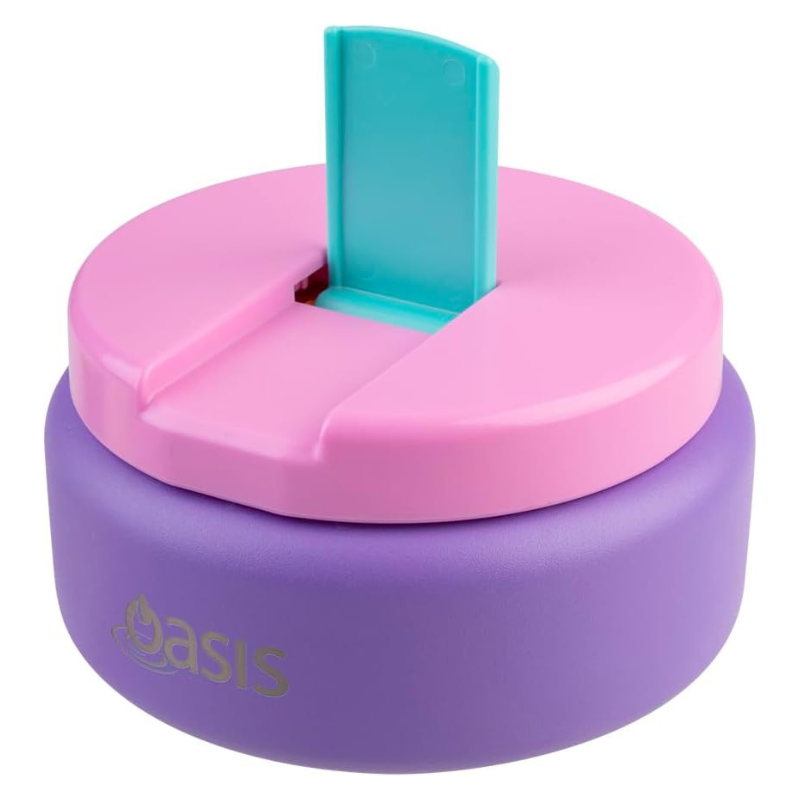 Oasis Food Flask with Quick Release Lid - 230ml