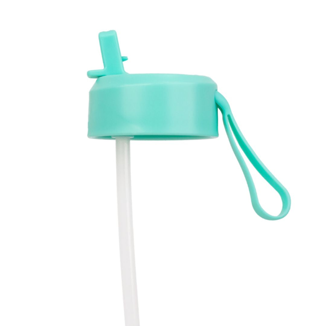Montii Fusion Sipper Lid Straw