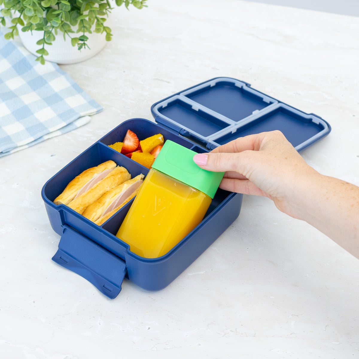 MontiiCo Bento Bottle