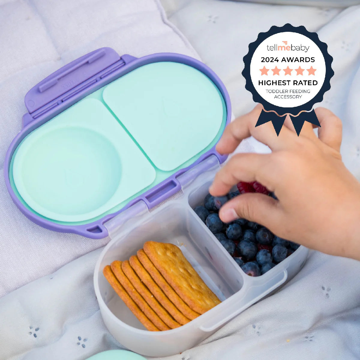 Car Organizer for Kids’ Snacks