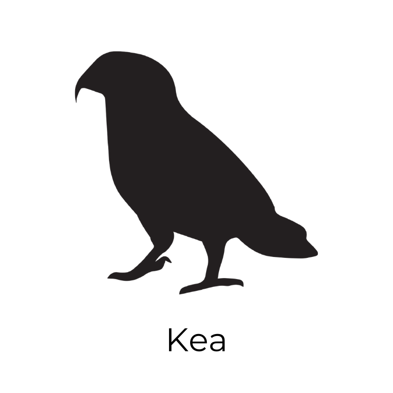 kea_1.png