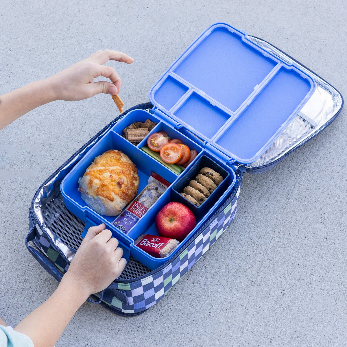 Montii Feast Lunchbox