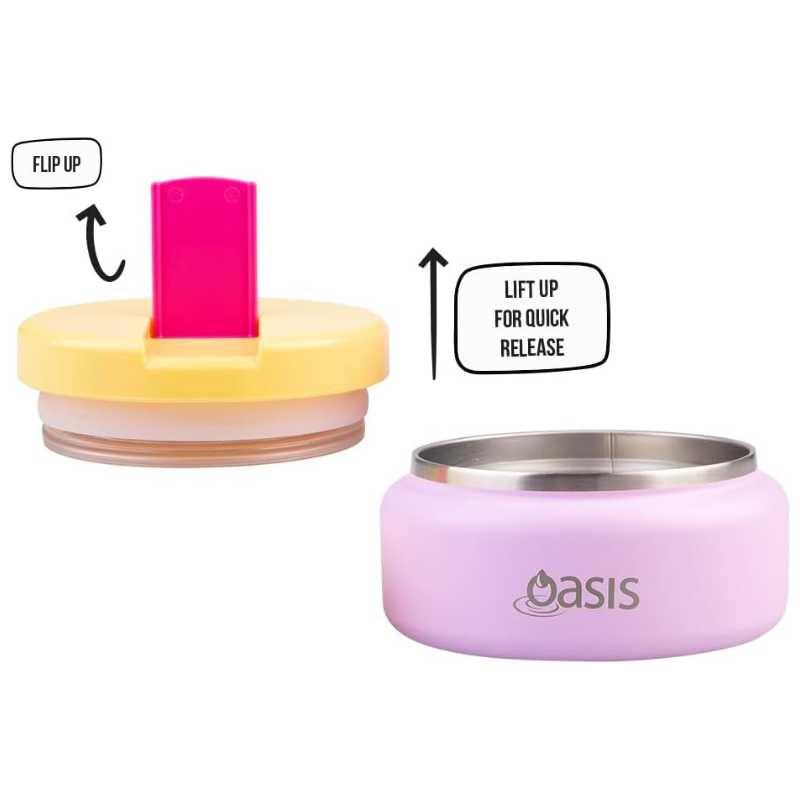 Oasis Food Flask with Quick Release Lid - 230ml
