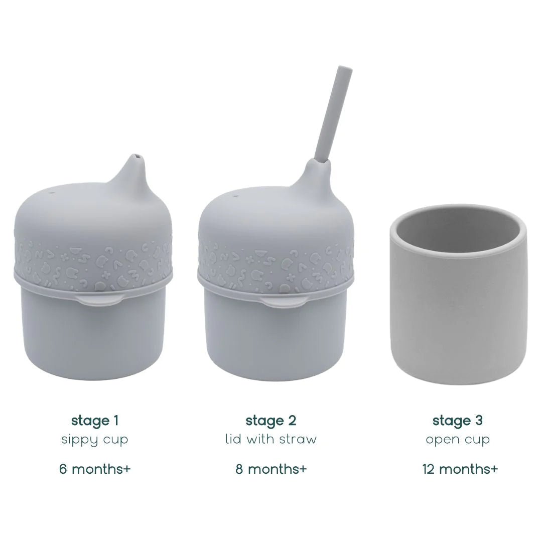 sippie-cup-set-grey-3-phase.webp