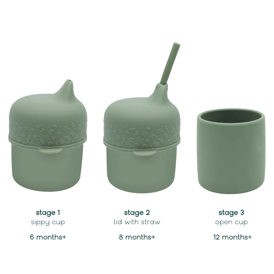 sippie-cup-set-sage-3-phase.webp