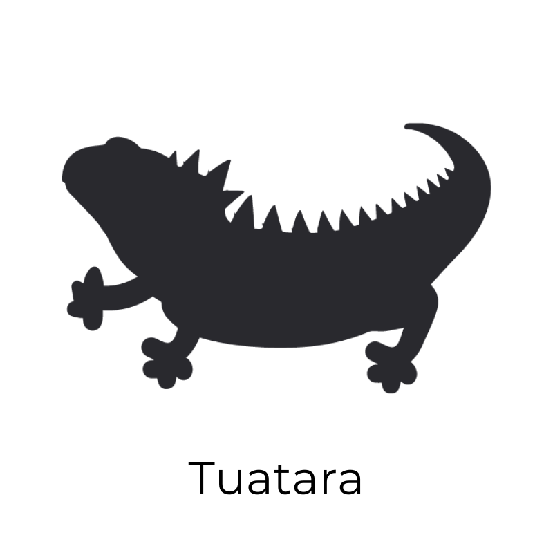 tuatara_2.png