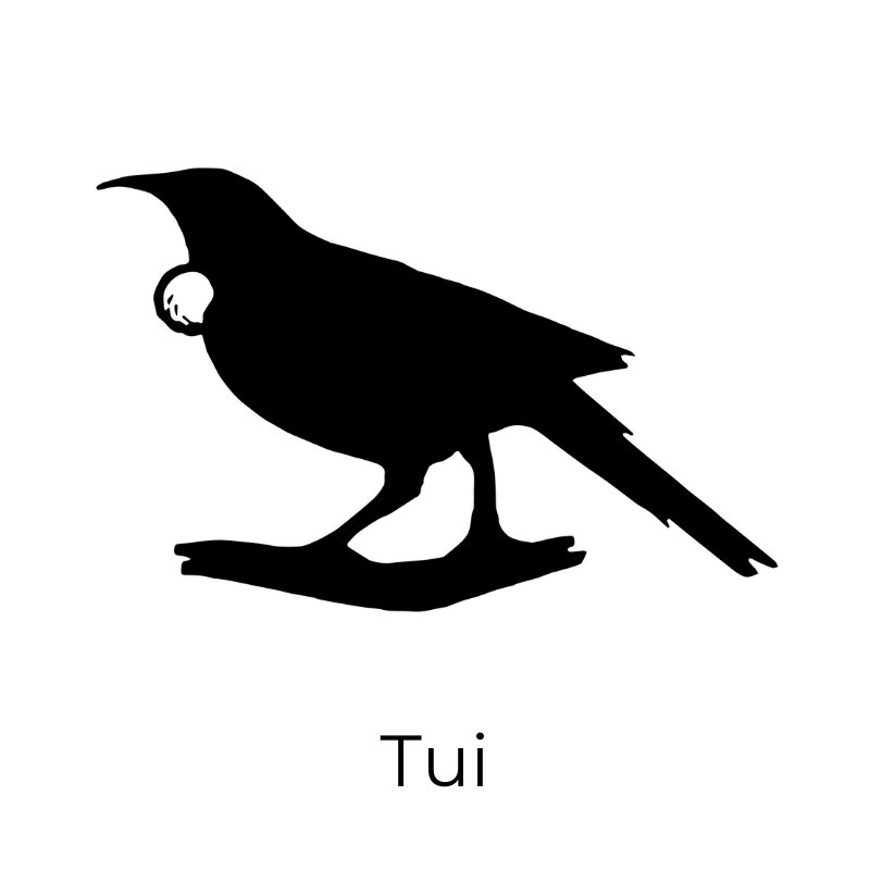 tui_1.png