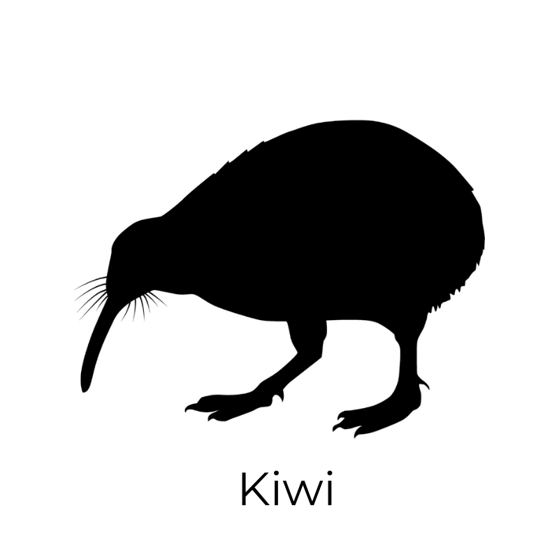 Little Giants Custom Decal - NZ Natives